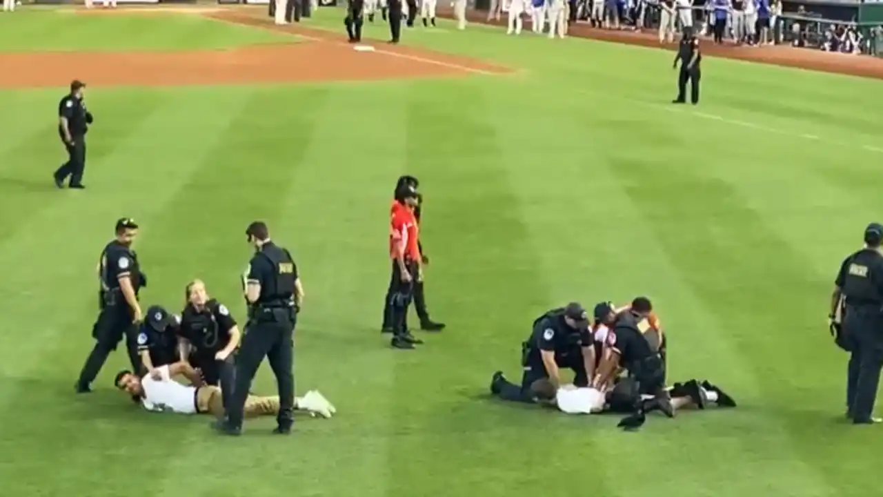 Congressional Baseball Game chaos protesters storm field