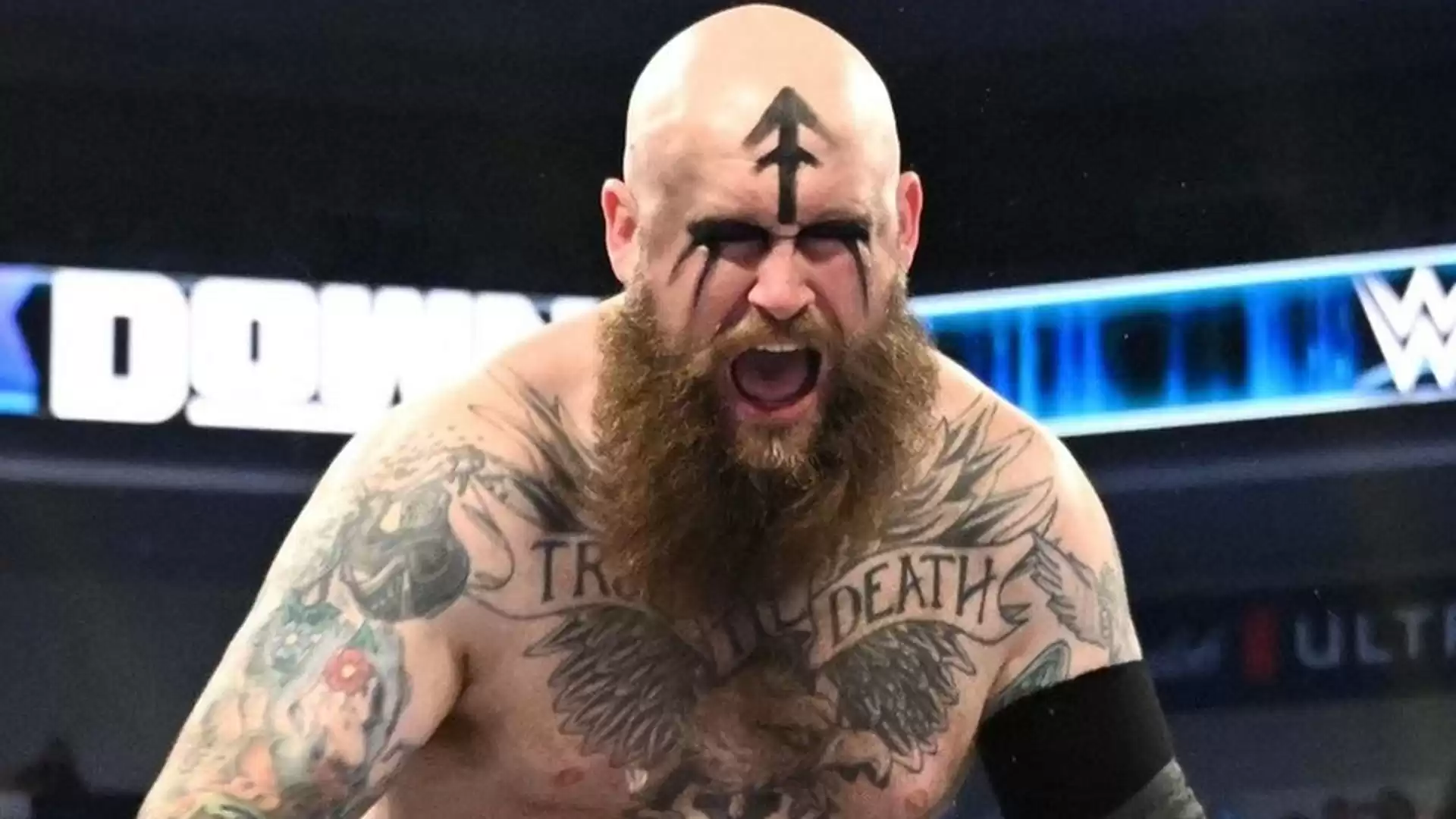Did Erik of The Viking Raiders Leave WWE? Real Reason Ivar Is Getting a Push