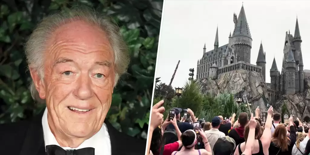 'Harry Potter' Fans Pay Tribute to Late Michael Gambon with Skyward Wands