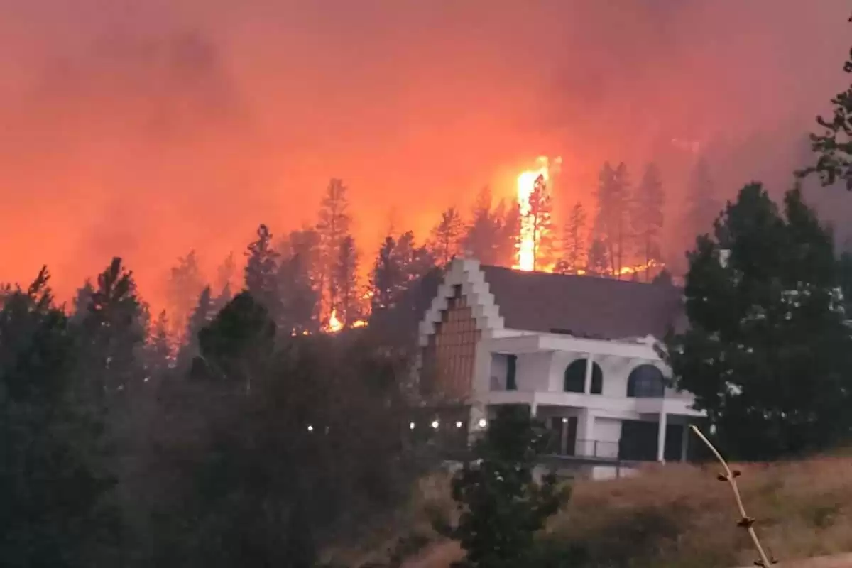 Homes destroyed, West Kelowna fire prompts increased orders and alerts