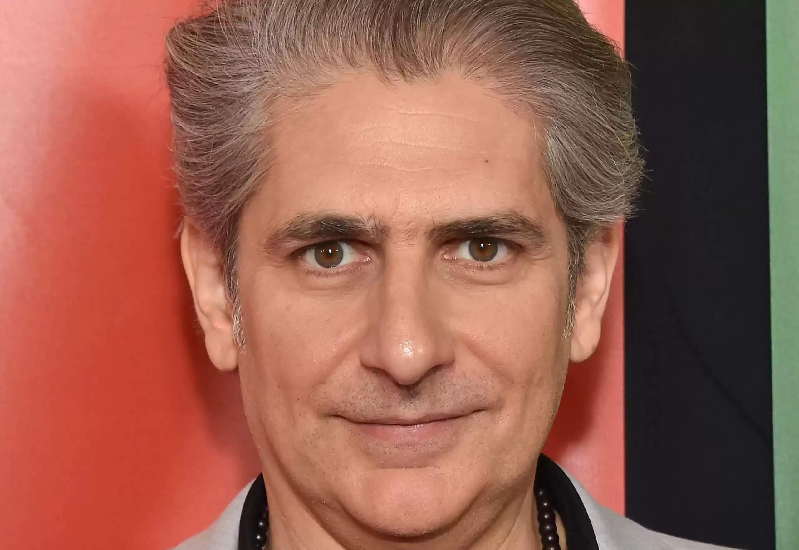 Michael Imperioli from The Sopranos takes a stand against LGBTQ discrimination following the SCOTUS ruling
