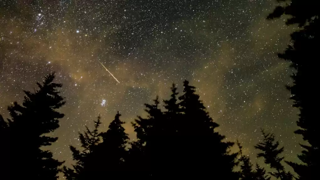 Perseid Meteor Shower 2021: Experience Nature's Spectacle - Turn Off Your Phone & Gaze Upwards