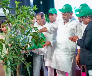 Two lakh saplings to be planted in Bengaluru this year, Deputy CM Shivakumar - Rahnuma Daily