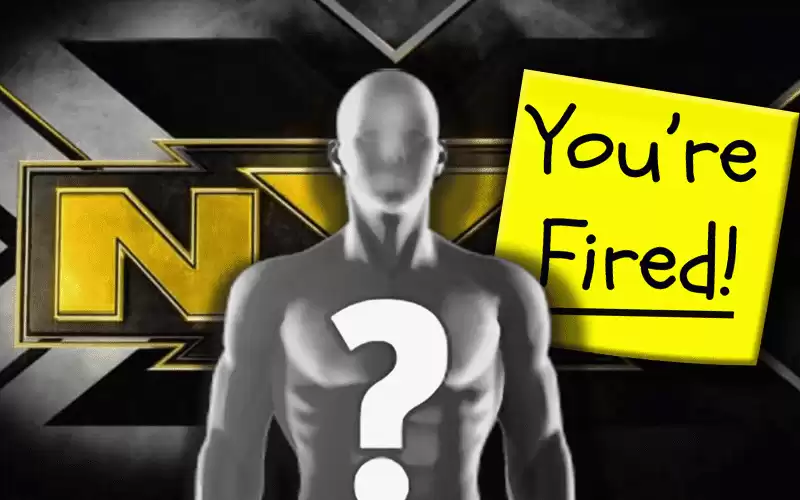 WWE Releases Female Star From NXT Contract.